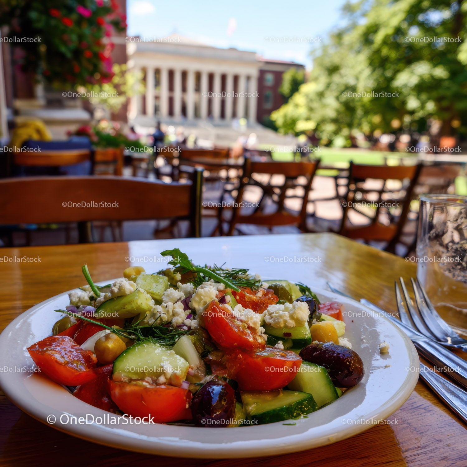 Colorful Fresh Vegetable Salad in Outdoor Garden Setting