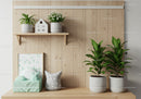Indoor Greenery with Potted Plants and Wooden Wall Background