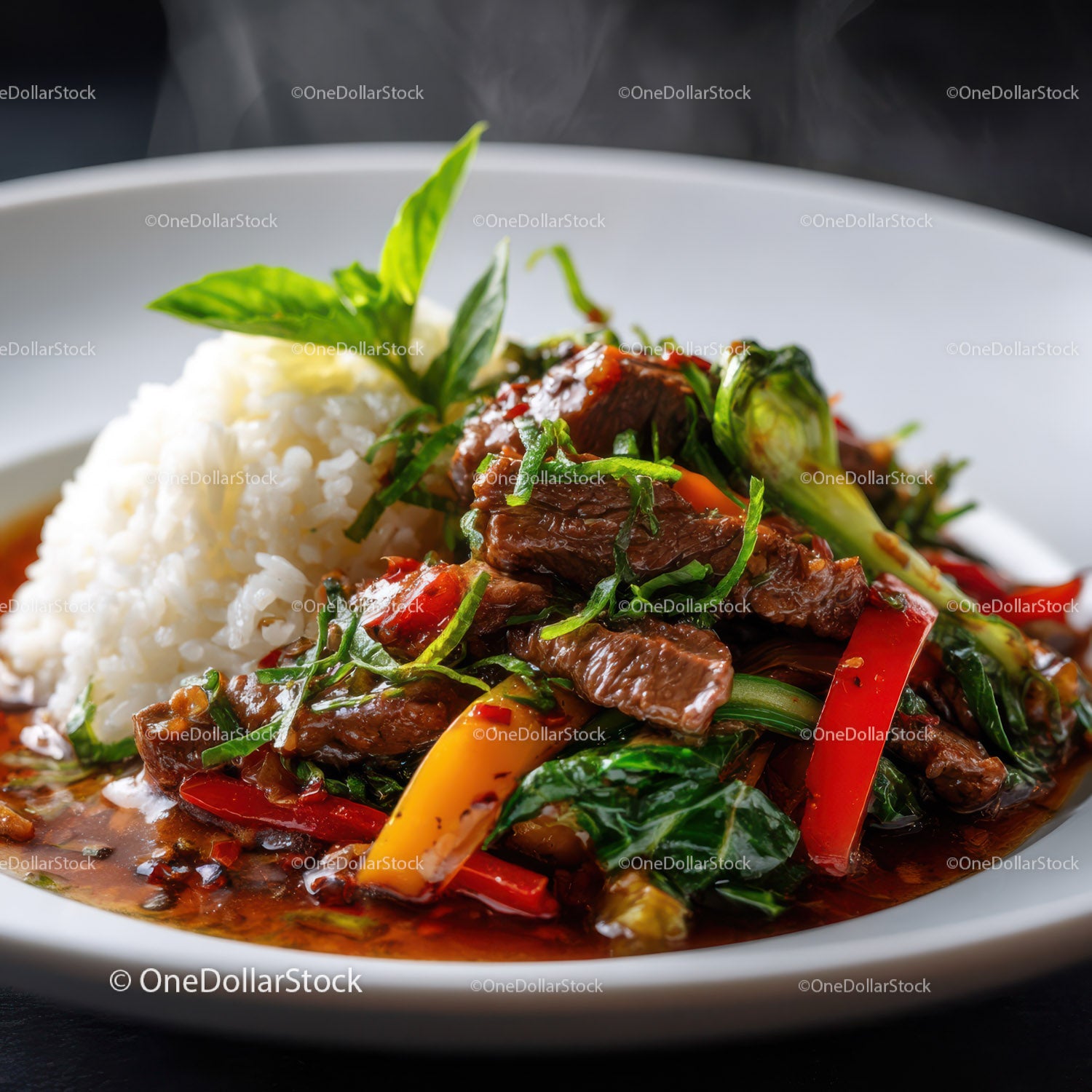 Colorful Stir-Fried Beef with Vegetables on White Plate