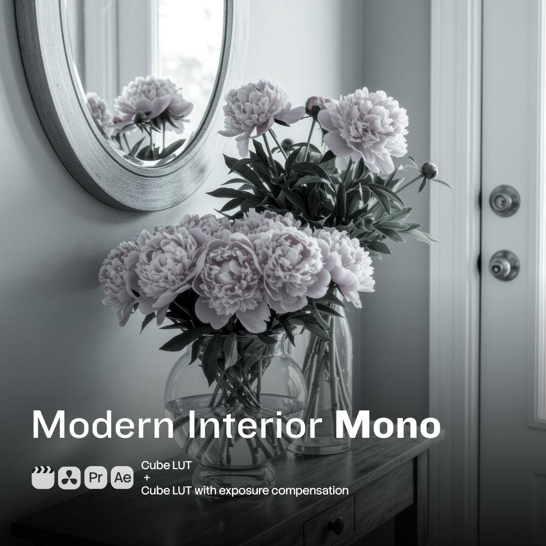 Modern Interior Mono LUT Pack preview