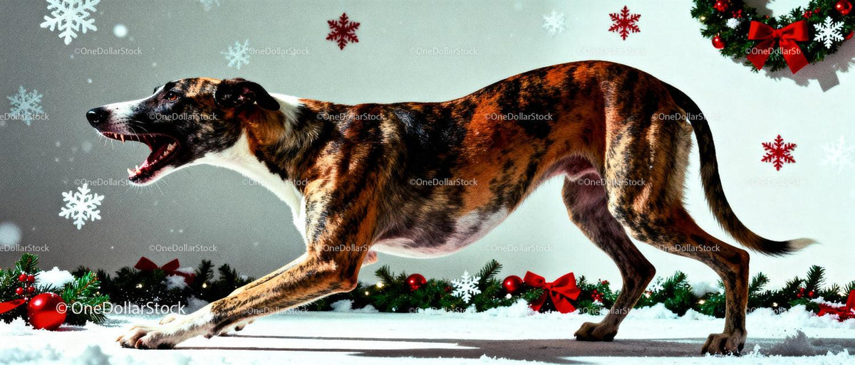 Playful brindle dog in festive winter holiday scene