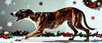Playful brindle dog in festive winter holiday scene