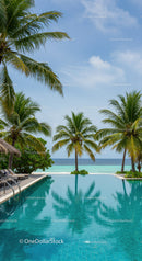 Tropical Poolside Palm Trees with Ocean View and Blue Sky