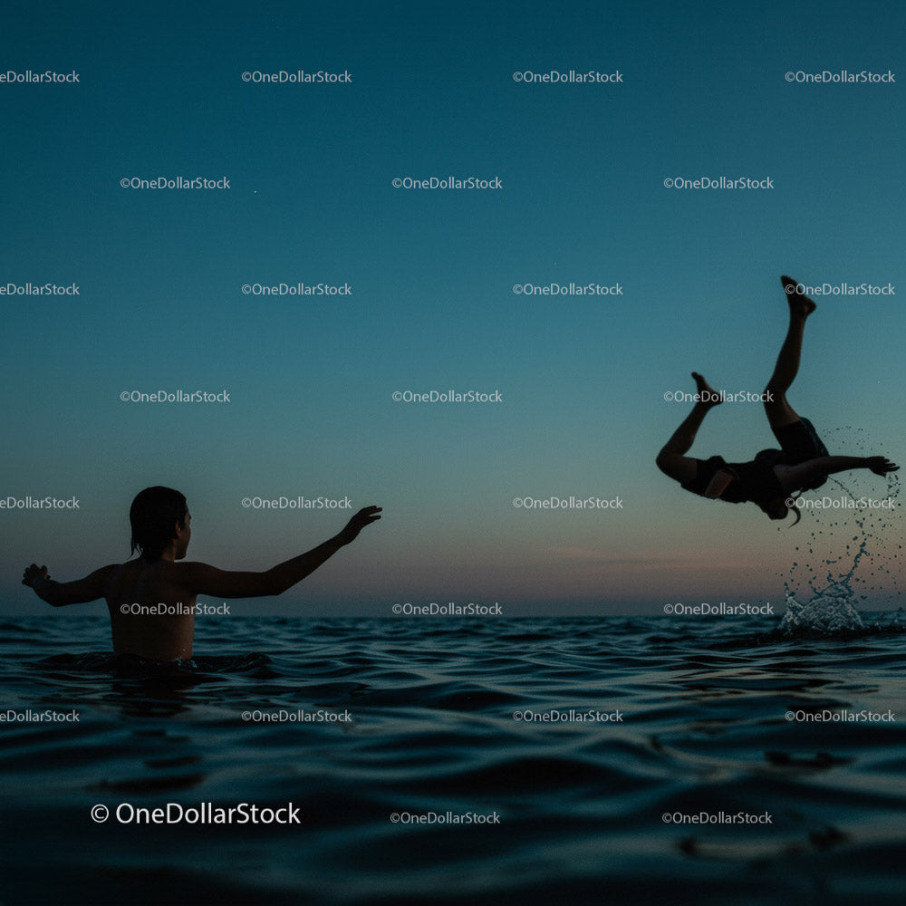 Playful Moments in the Water at Sunset (17 Images)
