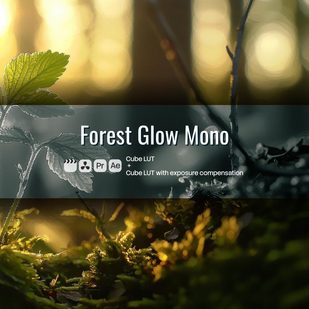 Forest Glow Mono LUT Pack preview
