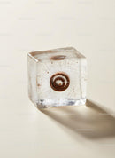 Coffee Bean Encased in Transparent Ice Cube