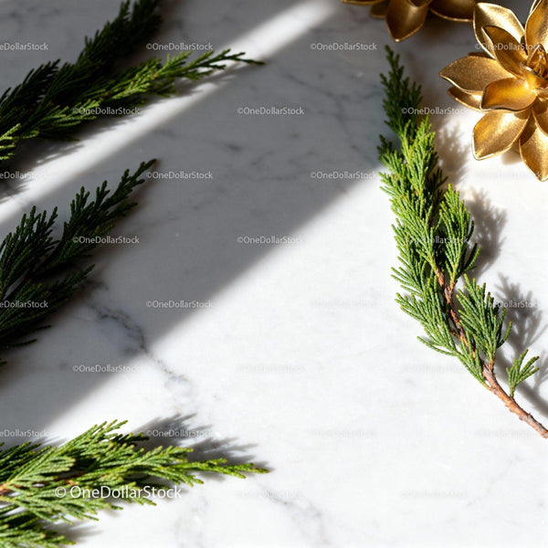 Green pine branches with golden decoration on marble
