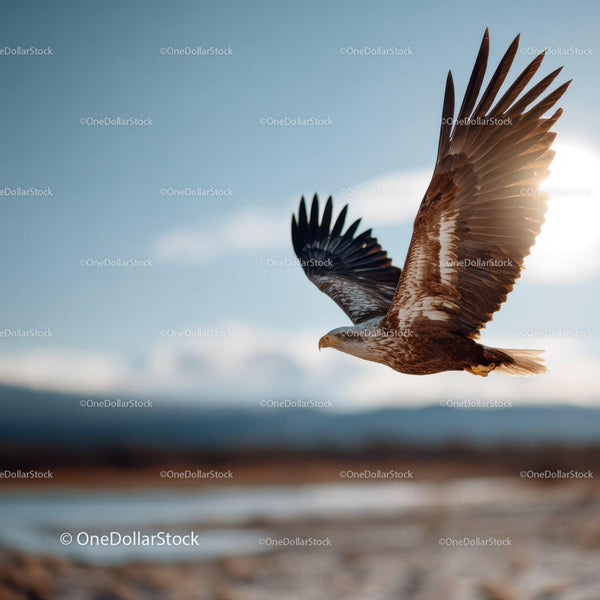 Majestic Eagle in Flight Over Scenic Sky and Horizon