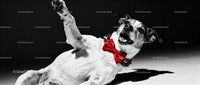 Happy dog playing with festive red bow tie
