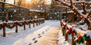 Snowy Pathway Decorated for Holiday Festivities