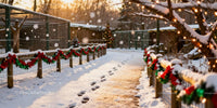 Snowy Pathway Decorated for Holiday Festivities