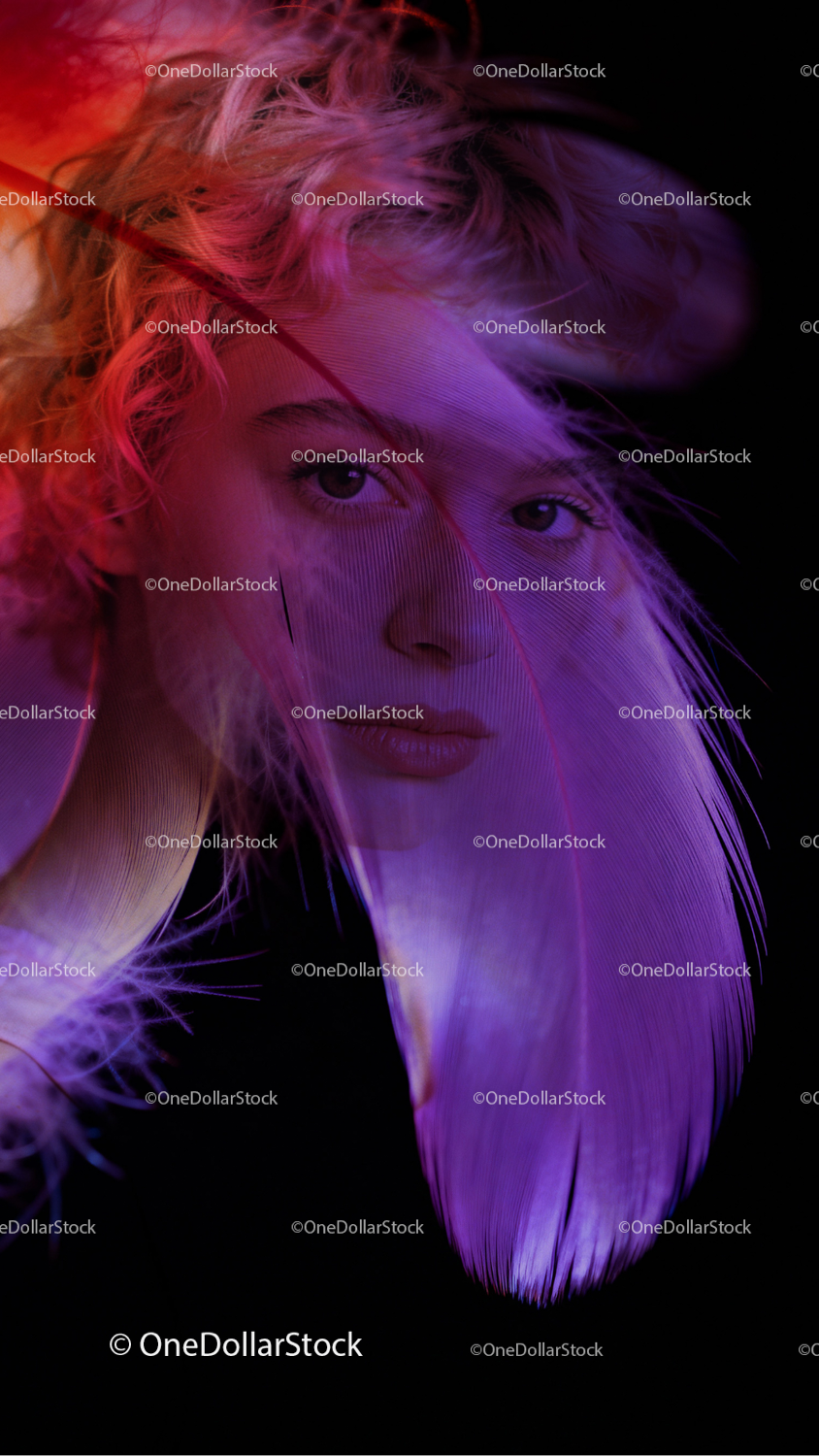 Pink Quills 32 JPG Files digital asset preview