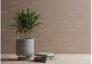 Indoor Green Foliage Plant in Pot for Modern Minimalist Decor