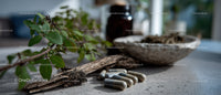 Herbal Medicine Ingredients with Dried Herbs and Capsules for Natural Healing