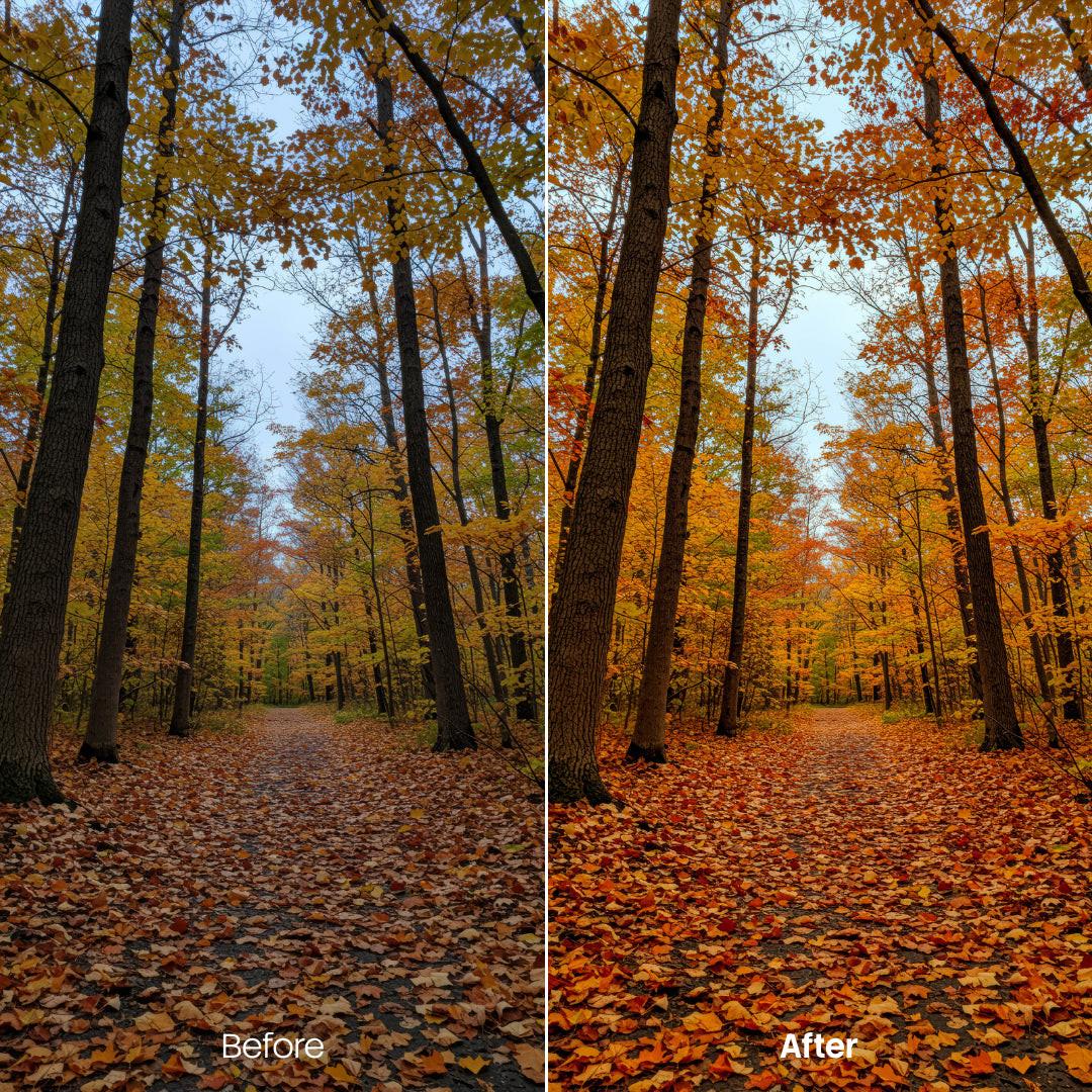 outdoor photography edit with Sunlit Forest Autumn Hues Lightroom presets