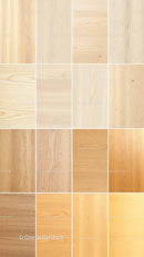 Woods 64 JPG/PNG Files digital asset preview