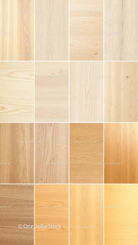 Woods 64 JPG/PNG Files digital asset preview