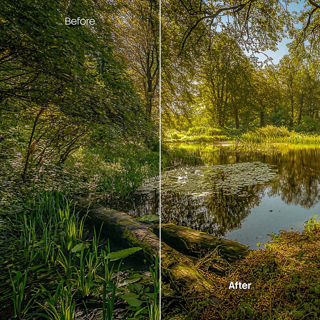 Before and after Autumn Path Lightroom preset edit