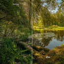 Before and after Autumn Path Lightroom preset edit