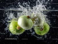 Fresh Green Onions Splash in Water for Healthy Food Concept