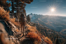 Mountain Trail with Hiker Trekking Through Scenic Alpine Landscape