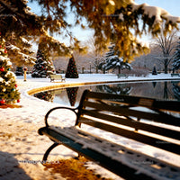 Snow-covered park with decorated Christmas trees near pond