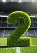 Large Grass Covered Number Two on Soccer Field