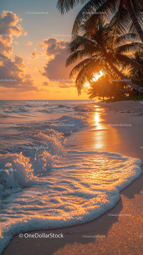 Scenic Tropical Beach Sunset with Palm Trees and Ocean Waves Stock Photo Bundle (37 JPG Files)