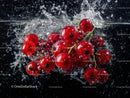 Fresh Red Currants Cluster Underwater Splash in a Vibrant Scene
