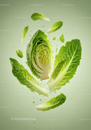 Fresh romaine lettuce leaves suspended in water droplets