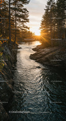 Sunset over rocky river framed by pine trees