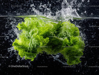 Fresh Green Lettuce Leaves Splashing with Water Underwater