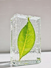 Fresh Green Leaf Encased Inside Clear Ice Block