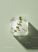 Herb and Oil Frozen in Clear Ice Cube on Green Background