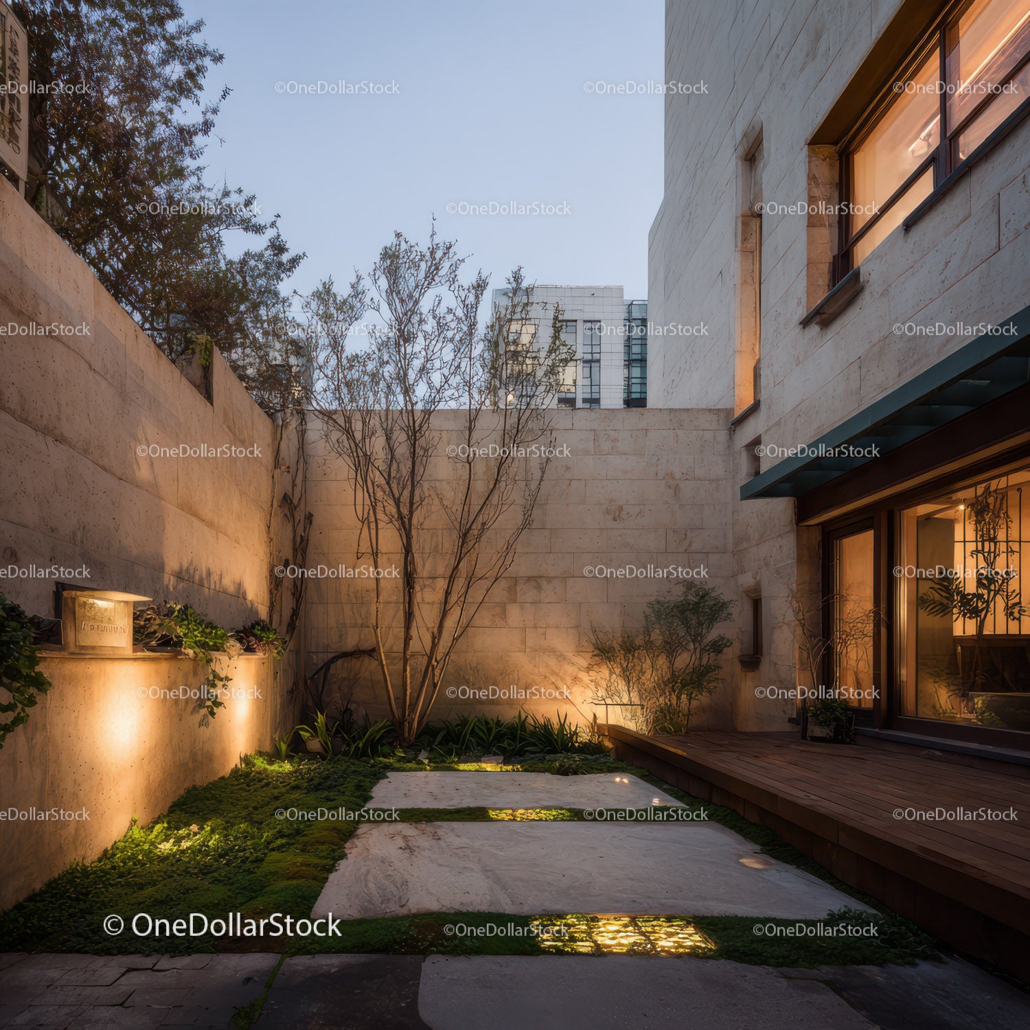 Contemporary Urban Garden with Warm Lighting and Natural Elements