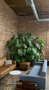 Modern Living Room with Large Green Monstera and Industrial Brick Wall