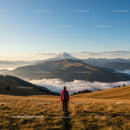 Scenic Mountain Landscape with Hiker in Grassy Field and Snowy Peak