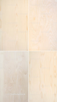 Birch Wood 16 PNG Files digital asset preview