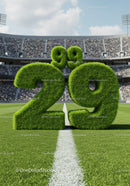 Grass Numbers 29 Shaped on Stadium Field Line