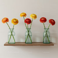 Vibrant Ranunculus Flower Display in Glass Vases on Wooden Shelf