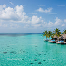 Beautiful Overwater Bungalows and Palm Trees on Turquoise Ocean