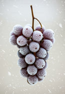 Frosted purple grapes cluster close up with ice crystals
