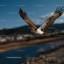 Bald Eagle Soaring in Blue Sky Over Mountain Landscape