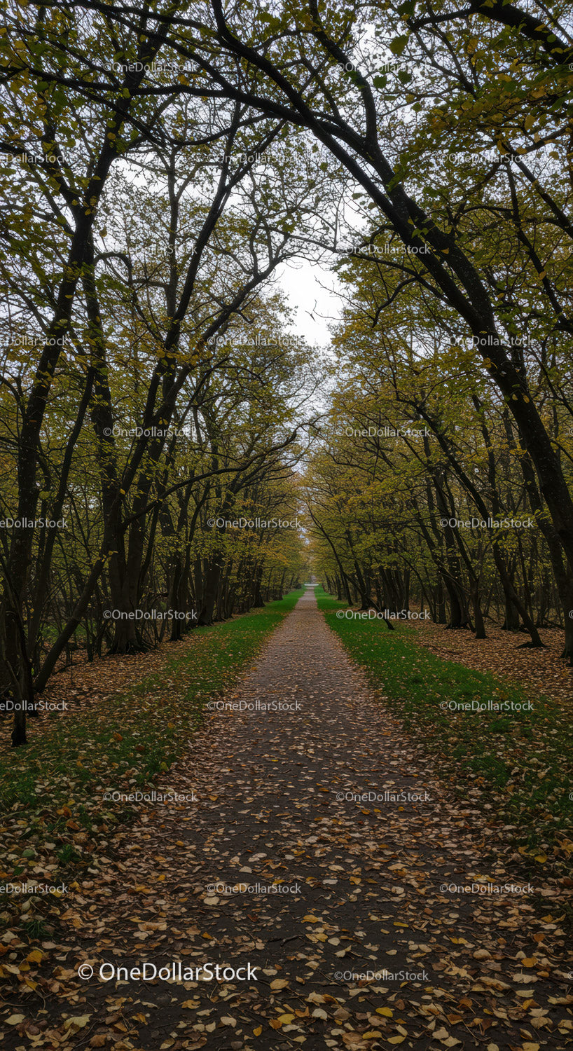 Long Pathway Through Autumn Forest with Falling Leaves