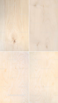 texture background made with Birch Wood Textures