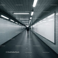 Empty Subway Tunnel with Fluorescent Lighting and Tiled Walls