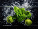 Fresh Green Lettuce and Herbs Splashing in Water