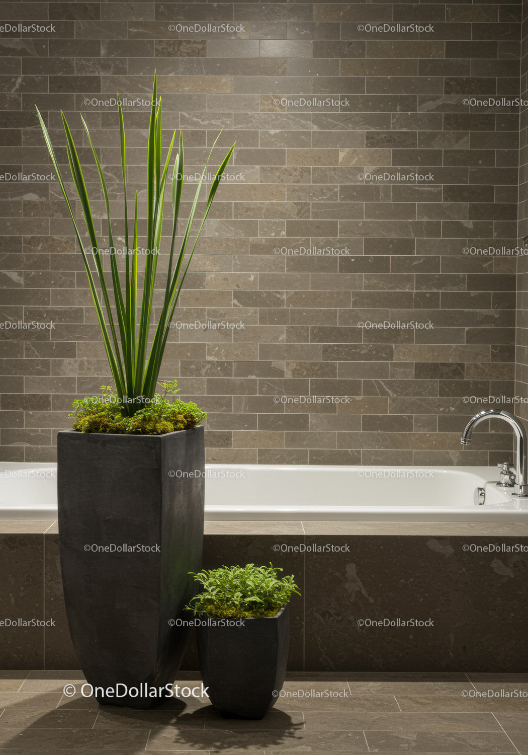 Modern Indoor Bathroom with Tall Potted Plant and Small Foliage