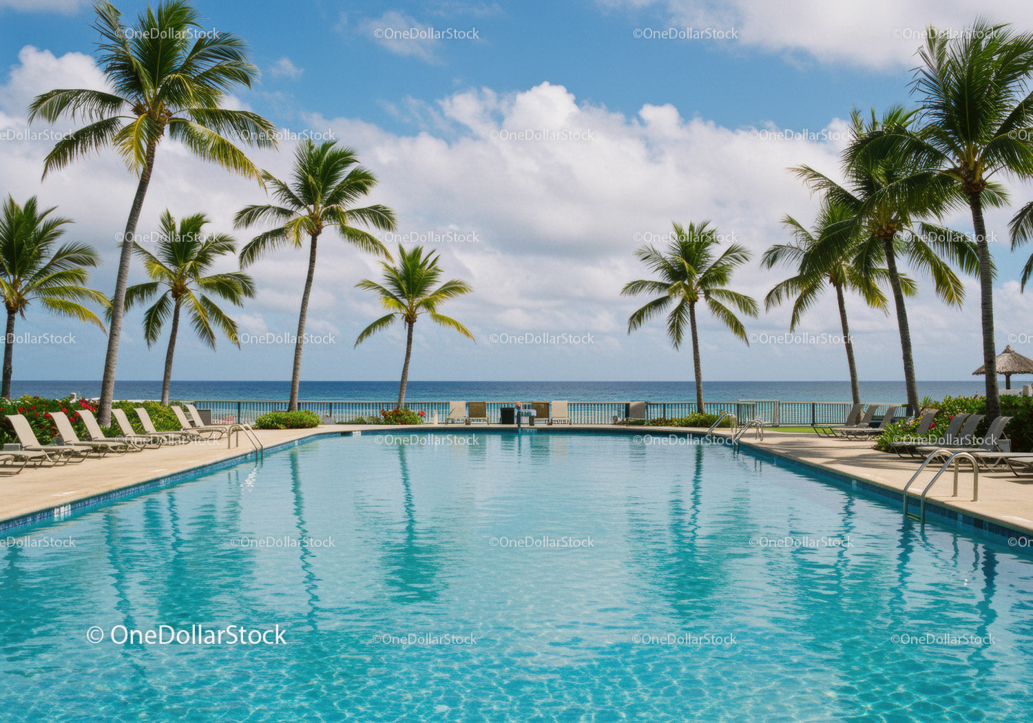 Relaxing Poolside Scene with Palm Trees and Ocean View in Tropical Paradise