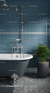 Elegant freestanding bathtub with vintage shower setup